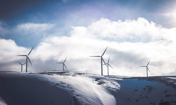 jason-blackeye-209586 jason-blackeye-209586