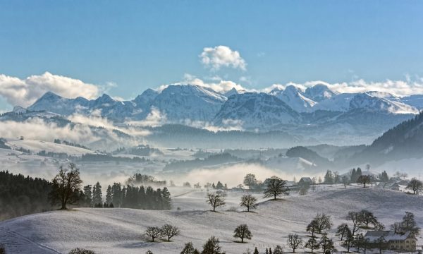 ricardo-gomez-angel-273521 ricardo-gomez-angel-273521